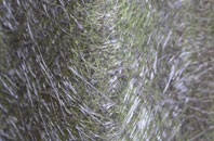 Maggots End fibreglass roof work